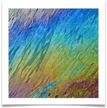 Rainbow oil film on Bridgewater Canal.jpg - Richard Nicholls